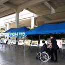 뎃생수채화 이미지