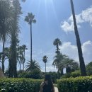 지(G)-데이(day) | [제주 신라호텔] 데이글램핑 후기 (쁘띠카바나 신라베어 생일자혜택 더파크뷰 디너 조식 포함)