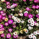 양구인문학박물관 이미지