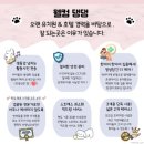 웰컴댕댕 이미지