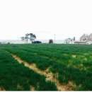 기장유통 이미지