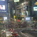 With7 | 즉흥 도쿄 6박 7일 여행 후기(with 일본 친구)(도요스, 이케부쿠로, 디즈니씨, 가부키초 등)