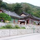 의왕여행 * 청계산, 청계사, 맑은 숲공원까지 ~