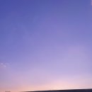 낙지발이 몇개고 이미지