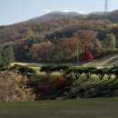 강남300CC점 클럽하우스 | 251109 강남300cc 후기와 맛집