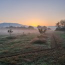 나들농장 이미지