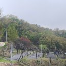 꿀참나무숲 유치원 이미지