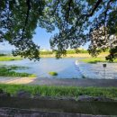 광양읍 소방서 옆 이미지