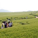 점암농장 이미지