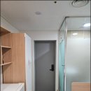 스테이52