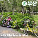 송림공원 내 | 해운대 수국길, 2025년 송림공원 수국 실시간 현황