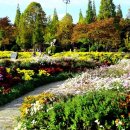 국화어린이공원 이미지