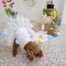 까까,봄 이미지