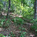 삼밭골목장 이미지