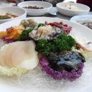 궁리회센타 Daum카페