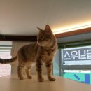 호텔코코 이미지