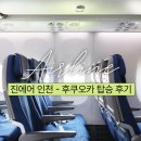 264 | 인천 후쿠오카 항공편 진에어 LJ263 LJ264 탑승 후기 기내 와이파이