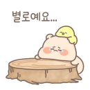 씨티케이션 키즈풀 시흥 워터룸