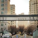 진흥아파트 이미지