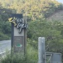 창원 고성바다뷰 카페 창포리카페 달뜨는비오리 돈까스 방문후기