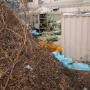 수원-1385 이미지