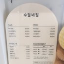 수달네일 | 대전 관저동 마치광장 네일샵 수달네일 원톤네일 방문 후기