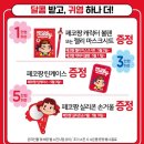 홀리카홀리카 - 서구 가정로151번길 11 | 홀리카홀리카