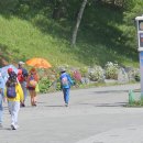 철쭉동산 이미지