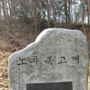 효석문학100리길 제1구간 Daum카페