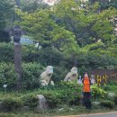 9월 정기산행 거창 금원산 기백산 . . 이미지