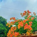 구평남부초등학교 이미지