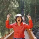 백양목장 이미지