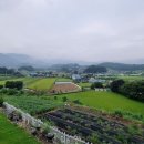 오즈스윗홈 이미지