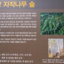 죽파리 경로당 이미지