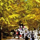 가을여행 이미지