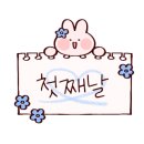 안뜨레제주집