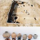 서천 봉선리 유적 이미지