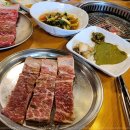 둥지숯불갈비
