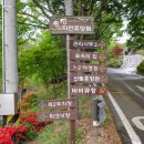 송정자연휴양림 이미지