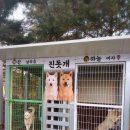 수룡모텔 네이버블로그