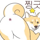 그루밍 멈머 이미지