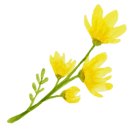 지킴메디 이미지