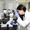 인삼약초로 이미지