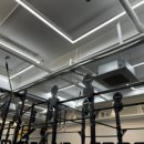 스타디온 삼성 이미지