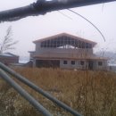 무성체육관 이미지