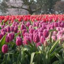 태안반도영농조합법인 이미지