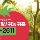 도안더리브오뚜기공인중개사사무소 이미지