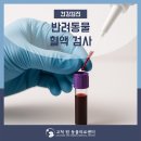 고척 원 동물의료센터 | 강아지와 고양이의 혈액검사(구로구 동물병원 고척 원 동물의료센터)