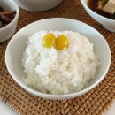 보성농산 | 프리미엄 현대쌀집 쌀로 만든 윤기 가득한 오늘의 맛있는 집밥 이야기