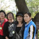 용현남초등학교 이미지